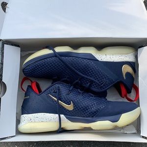 Lebron XIV low USA